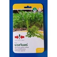 ราคา [ศรแดง] ผักซองพิเศษ เมล็ดขึ้นฉ่าย นวลจันทร์ (22778734194)