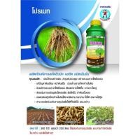 ราคา สารปรับสภาพดิน โปรเมท ขนาด 1 ลิตร สารปรับสภาพ ฮิวมิค ฮิวมิคแอซิค ฮิวมิคเข้มข้น ฮิวมิคพืช ฮิวมิคน้ำ ปรับสภาพดิน (19162588881)