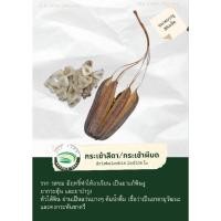 ราคา เมล็ดพันธุ์กระเช้าสีดา/กระเช้าผีมด (20660510669)