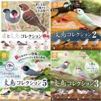 ราคา (เพิ่มครบชุดพร้อมส่ง) กาชาปองนกกระจอกญี่ปุ่น กระจอกชวา Gashapon Sparrow and Java Sparrow SHINE-G โมเดลสัตว์ (24028776767)