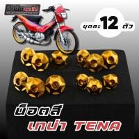 ราคา น็อตชุดสี น็อตเฟลม เทน่า 12ตัว ดาวทอง งานสแตนเลสแท้ ชุดสี Honda Tena (55353266681)
