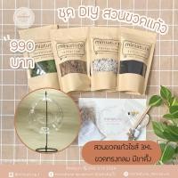 ราคา ชุดอุปกรณ์จัดสวนขวดแก้วไซส์ 3XL -ขวดทรงกลม มีขาตั้ง (22541046566)