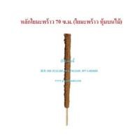 ราคา (3-5อัน) เสาใยมะพร้าว ยาว 70ซม. หลักไม้เลื้อยใยมะพร้าว เสาไม้เลื้อย เสาต้นไม้ หลักมะพร้าว หลักใยมะพร้าว (14742687569)
