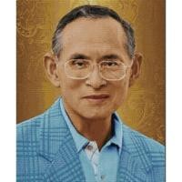 ราคา Pinn Shop ชุดปักครอสติช : ในหลวง รัชกาลที่ 9 (GO-005) (571307737)