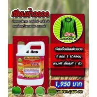 ราคา พร้อมส่ง!! เซียนข้าวรวง ขนาด 4ลิตร แถมเสื้อ 1ตัว ฮอร์โมนบำรุงข้าวตั้งท้อง อาหารเสริมพืช ปุ๋ย ข้าวรวง ฮอร์โมนพืช ปุ๋ยข้าว (23850864849)