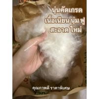 ราคา นุ่นแท้ธรรมชาติ นุ่นสะอาด ใหม่ ประมาณ 1 กิโลกรัม สีขาวนวล หมอนนุ่น หมอนหนุน หมอนข้าง (25597262352)