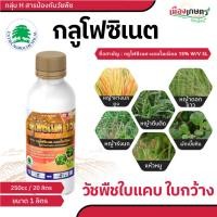ราคา กลูโฟซิเนต 15 ( น้ำเขียว ) ยาฆ่าหญ้า ( กลูโฟซิเนต แอมโมเนียม ) ขนาด 1 ลิตร กำจัด วัชพืช ใบแคบ และ ใบกว้าง กลูโฟซิเนต แ (27065377971)