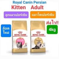 ราคา Royal Canin Persian Adult 4kg Kitten Persian 4kg โรยัลคานิน แมวโต ลูกแมว เปอร์เซีย ถุง 4 กก (18900459406)