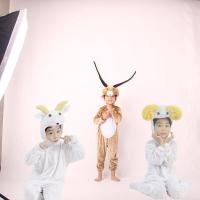 ราคา เครื่องแต่งกายธีมแพะการ์ตูนสำหรับครอบครัว พ่อแม่และลูก ขนาดฟิตติ้งดี หมายเลขแบบ 10.08 (43224538547)