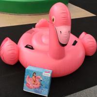 ราคา ตุ๊กตาเป่าลม Intex แพนกฟลามิงโก้น้อย เป็ดเหลือ (1871532393)