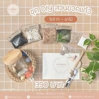 ราคา ชุดจัดสวนขวดแก้ว ไซส์ M - ฝาไม้(8.5*12) (9157395)