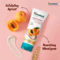ราคา Himalaya Gentle Exfoliating Apricot Face Scrub 50/100g (21989162143)