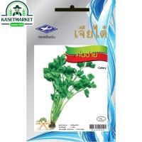 ราคา คึ่นฉ่าย เจียไต๋ 3 กรัม เมล็ดพันธุ์ผัก ผักสวนครัว (6236802198)