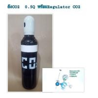 ราคา ถังก๊าซคาร์บอนไดออกไซด์ CO2 ขนาด0.5 คิวQ พร้อมRegulator CO2 Arctech (7430462523)