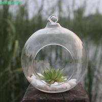 ราคา NEXUSNOVA แจกันแก้วแขวน, แก้ว Borosilicate ใสแขวน Tealight Holder, Ball Container 6/8/10/12/15 ซม.ลูกบอลโปร่งใส Succulents พืช Ball คอนเทนเนอร์สวน (43180449316)