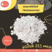 ราคา Wollastonite (CaSiO3) วอลลาสโตไนท์ ปริมาณ 1 กิโลกรัม (22540947734)