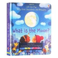 ราคา Usborne Lift The Flap Very First Questions and Answers What Is the Moon/Poo/Sleep/Snow/Star Why should I brush my teeth Flip Picture Board Book Kids Child Early Education (11108192618)