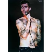 ราคา โปสเตอร์ รูปถ่าย คอนเสิร์ต วง ดนตรี Maroon 5 Adam Levine POSTER 24”x35” Inch American Singer Actor Pop Rock (1655335736)