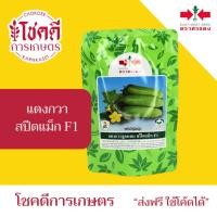ราคา แตงกวา สปีดแม็ก สปีดแม็กซ์ F1 ศรแดง เมล็ดพันธุ์แตงกวา ลูกผสม ตรา ศรแดง บรรจุ 50 / 100 กรัม (50000741658)