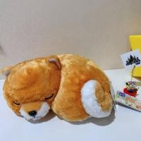 ราคา ( NEW พร้อมส่ง ) ตุ๊กตา น้องหมาชิบะมงคล นอนหลับ Shiba BIG Collection Plush Limited ลิขสิทธิ์แท้ From Japan (42724119045)