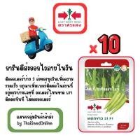 ราคา GG x 10 เมล็ดผักซองศรแดง หยกขาว พริกหนุ่มขาว สินค้ายกแพ็ค (28039504579)