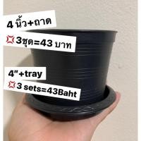 ราคา กระถางต้นไม้4 นิ้ว พร้อมจาน(3ชุด‼️) 4 inches of flower pot(3sets) (15400829210)