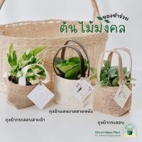 ราคา ของชำร่วย ของชำร่วยงานแต่ง ของชำร่วยต้นไม้มงคล (45004883218)