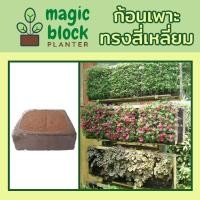 ราคา Magicblock ก้อนเพาะปลูกมหัศจรรย์ทรงเหลี่ยม ขนาด 30*30 ซม (2954892967)