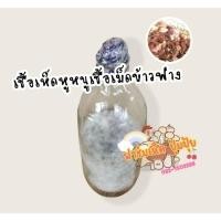ราคา เชื้อเห็ดหูหนู1ขวดเชื้อเมล็ดข้าวฟ่างใช้หยอดกับก้อนเชื้อเห็ดหรือขอนไม้ (26432156537)