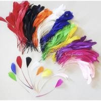 ราคา ขนนกตกแต่ง / ขนนกพัดหลากสี (42229804125)