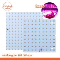 ราคา ไฟปลูกต้นไม้ LED ไฟเลี้ยงต้นไม้ Full Spectrum LED Grow Light (19584208675)