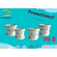 ราคา เซ็ทกระถางอิโมจิสุดคุ้มพร้อมจานรองทุกใบ//พร้อมส่ง (9081733545)