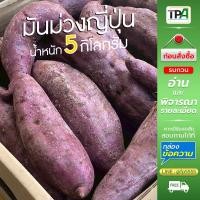 ราคา มันม่วงญี่ปุ่น-BBB (ปลูกในญี่ปุ่น) 5 กก. มันหวานญี่ปุ่น(สีม่วง) - Japanese Purple Sweet Potato (41629391568)