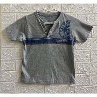 ราคา Hang Ten เสื้อยืดเด็กชาย สีเทา (10756748502)