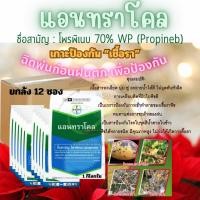 ราคา แอนทราโคล( Antracol ) ยกลัง 12 ซอง สารโพรพิเนบ สารป้องกันและกำจัดโรคพืช ( 1 กิโลกรัม ) (24323017327)