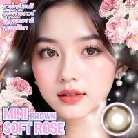 ราคา คอนแทคเลนส์ รุ่นLimited Mini Soft Rose Brown / Gray / Black (Luxzylens) ขนาดมินิ (41351741324)