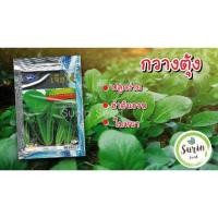ราคา ผักกาดกวางตุ้ง (4,700 เมล็ด) เจียไต๋ เขียวกวางตุ้ง (9661030243)