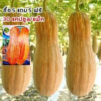 ราคา เมล็ดฟักทองหยดน้ำผึ้ง 30เมล็ด Pumpkin seed ฟักทองถุงทอง เมล็ดพันธุ์ฟักทองหยดน้ำผึ้ง เมล็ดพันธุ์ผัก สวนผัก (26841296803)