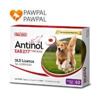 ราคา Antinol Dog ของแท้ ล็อตใหม่ Exp.11/2025 อาหารเสริม บำรุงข้อ ลดอักเสบ สุนัข แมว (4831896649)