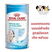 ราคา นมผงทดแทนนมแม่ Dog Milk 400g Royal Canin (19386901917)