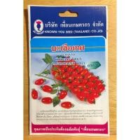 ราคา เมล็ดมะเขือเทศเชอร์รี่ ทับทิมแดง ทานสด ติดผลดก ผลผลิตสูง ผลยาวรีสีแดงสด เนื้อหนา เมล็ดน้อย รสชาติดี ทนโรค ทนต่อการขนส่ง (1491191360)