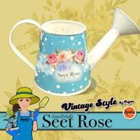 ราคา บัวรดน้ำสังกะสี แนววินเทจ บัวรดน้ำขนาดเล็ก Wartering pot vintage style (5145364829)