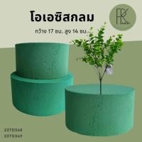 ราคา โอเอซิสก้อนกลม โอเอซิสปักดอกไม้ โอเอซิสกลม ที่ปักดอกไม้ (29812503614)