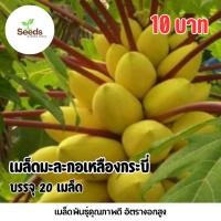ราคา เมล็ดมะละกอเหลืองกระบี่ บรรจุ 20 เมล็ด (50951004081)