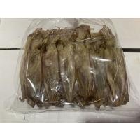 ราคา หมึกแพไข่ ขนาด 500 กรัม หมึกแพไข่ขนาดกลาง (10496511293)