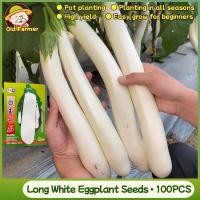 ราคา 100เมล็ด/แพ็ค เมล็ดพันธุ์ มะเขือยาวขาว White Long Eggplant Seeds Organic Vegetable Seeds เมล็ดมะเขือยาวขาว F1 (55654790810)