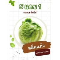 ราคา เมล็ดพันธุ์ผักสลัดแก้ว(ผักกาดแก้ว) (27267262554)