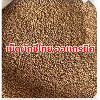 ราคา MK ซื้อ1เเถม1 เม็ดผักชี เม็ดผักชีไทย เม็ดผักชี เมล็ดผักชี เมล็ดผักชีไทย เม็ดผัก Coriander seeds ผักชี ผักชีไทย ผักชี (42400153004)