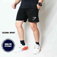 ราคา Shark GYM FITNESS PANTS RUNNING PANTS FITNESS SPORTS SHORTS (20989681947)