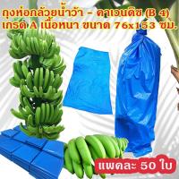 ราคา แพคละ 50 ใบ ถุงห่อกล้วย ถุงห่อกล้วยน้ำว้า คาเวนดิช เกรด A ขนาด 76x153 ซม. เนื้อหนา ใช้ซ้ำได้ ราคา 465 บาท (4312431039)